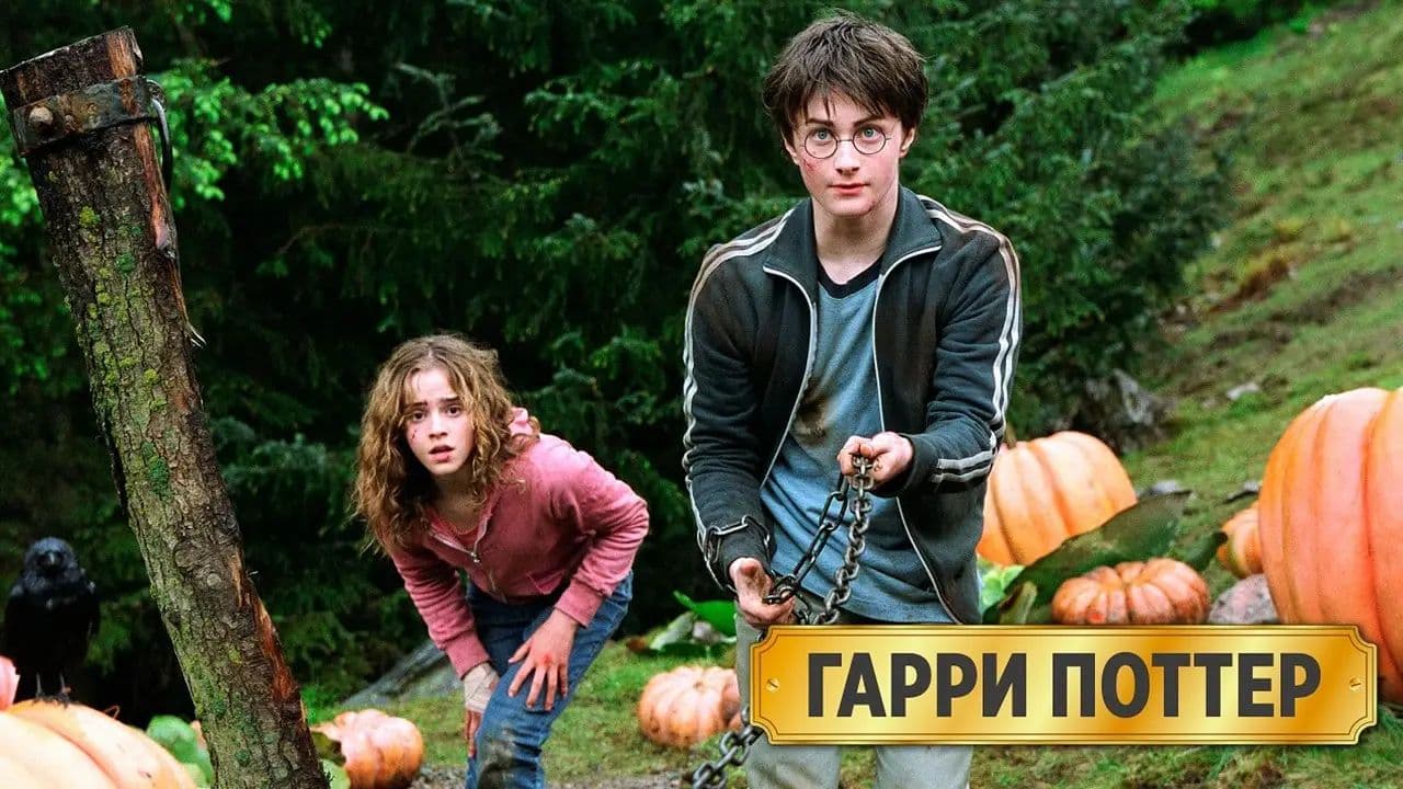 Картинка игры - 8