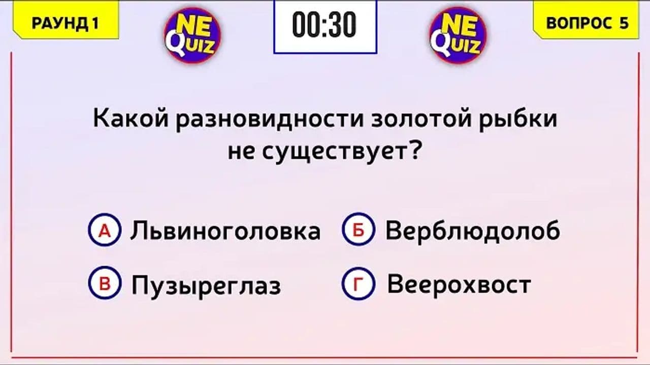 Картинка игры - 4