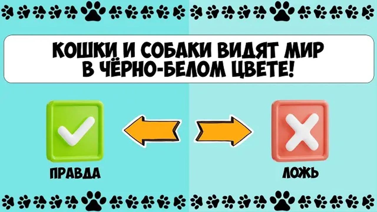 Картинка игры - 2