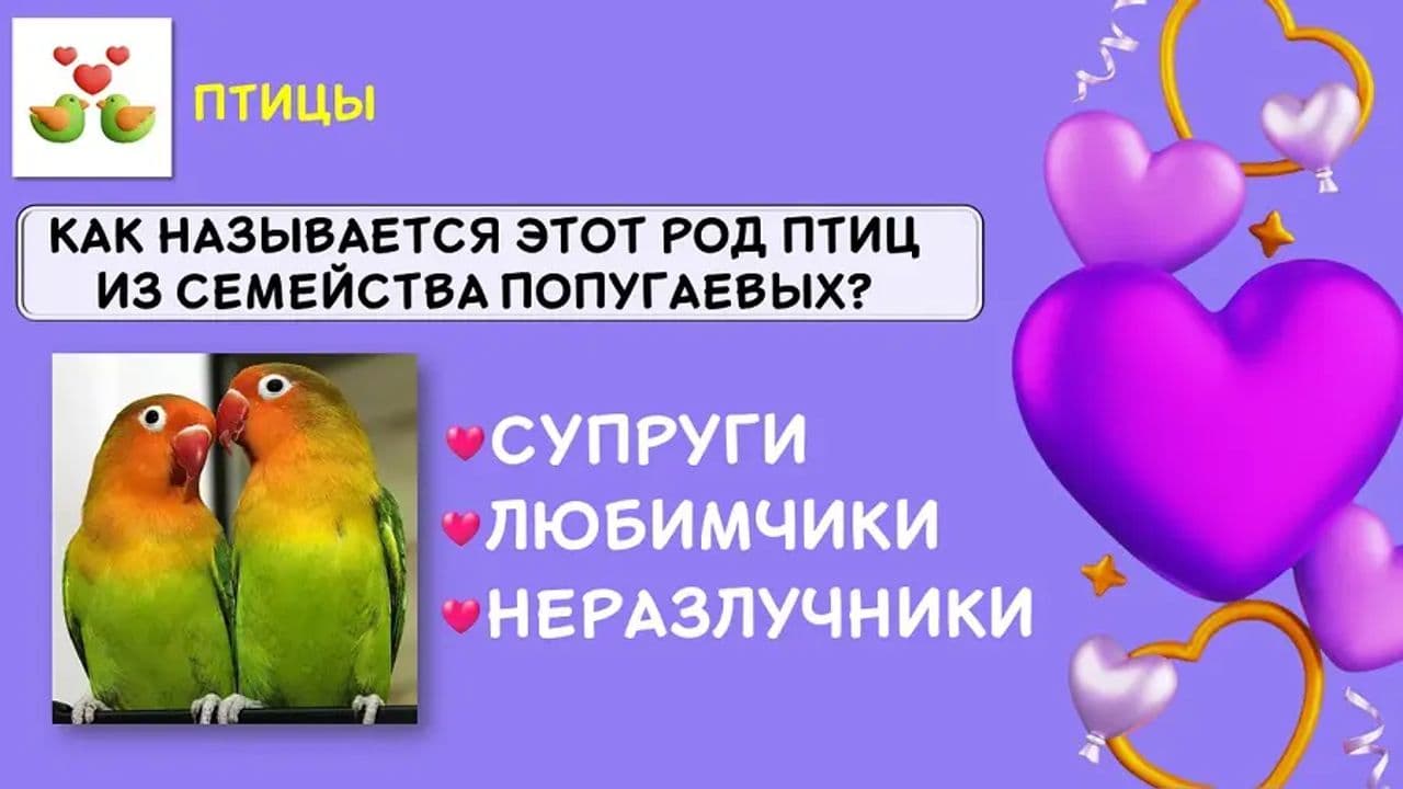 Картинка игры - 3