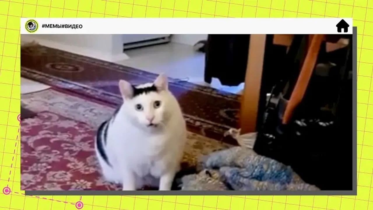 Картинка игры - 6