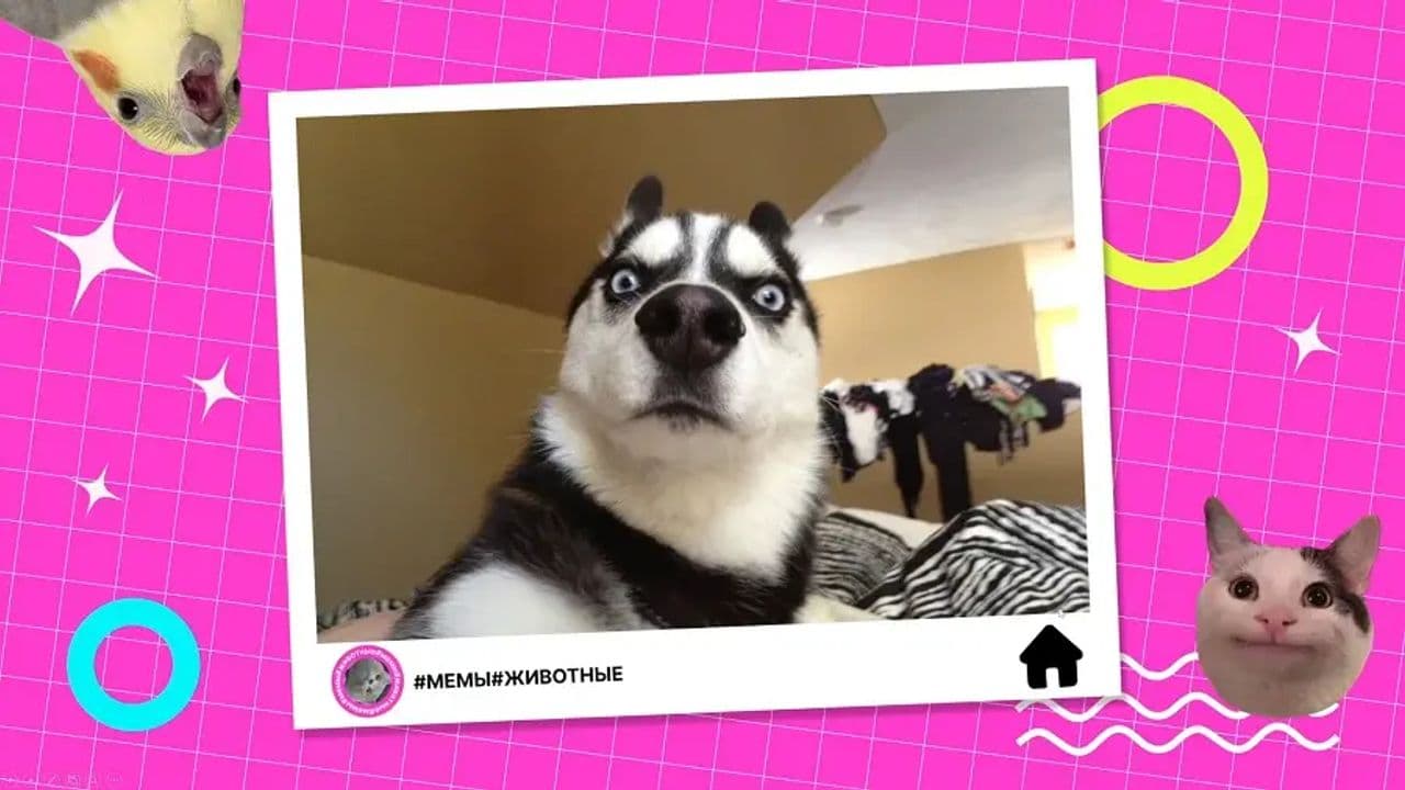 Картинка игры - 3