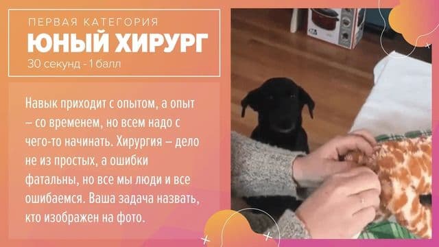 Фотография 4: КВИЗ.COM