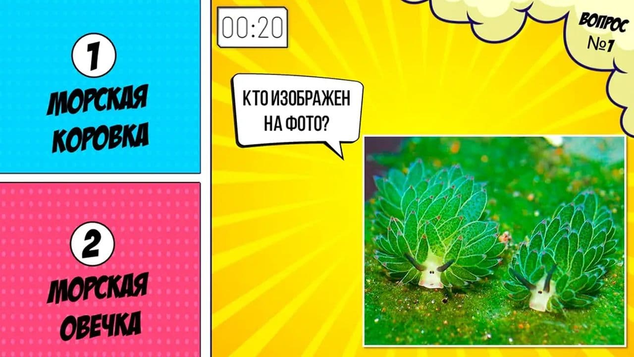 Картинка игры - 4