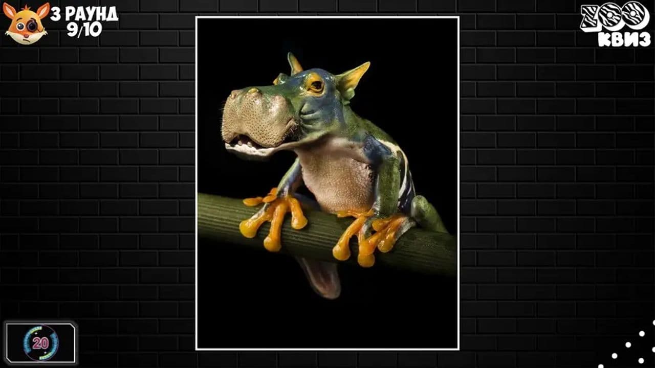 Картинка игры - 3