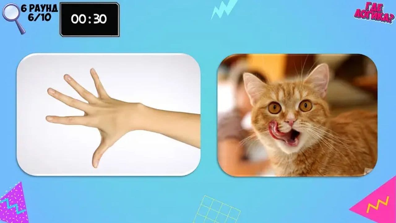 Картинка игры - 5