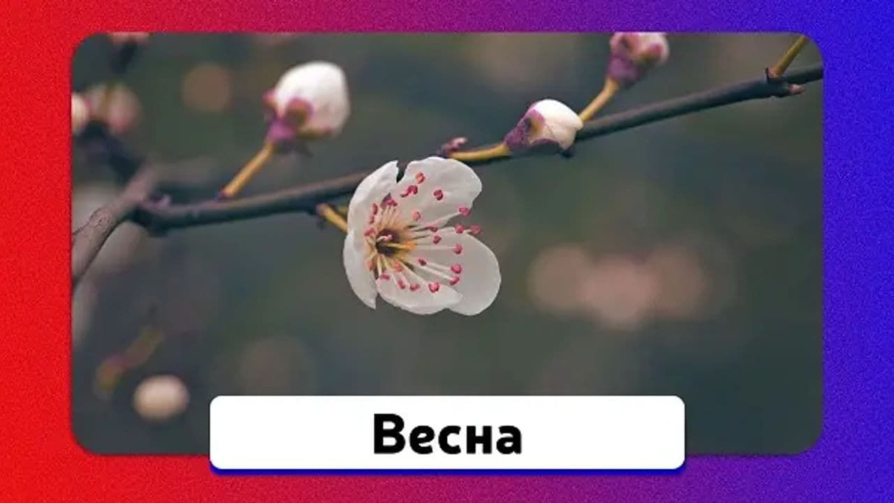 Картинка игры - 6