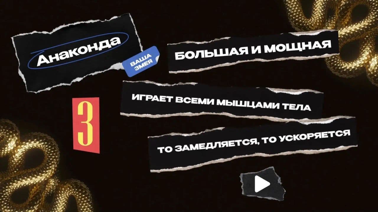 Картинка игры - 3