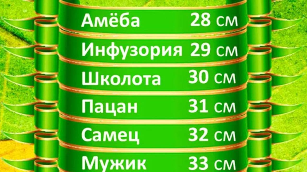 Картинка игры - 1